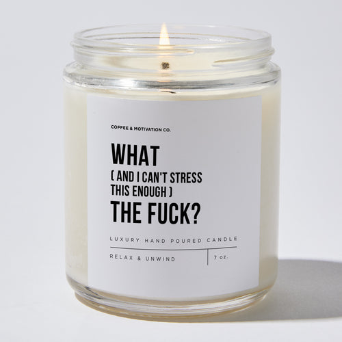 What (And I Can't Stress This Enough) The Fuck? - Luxury Candle Jar 35 Hours