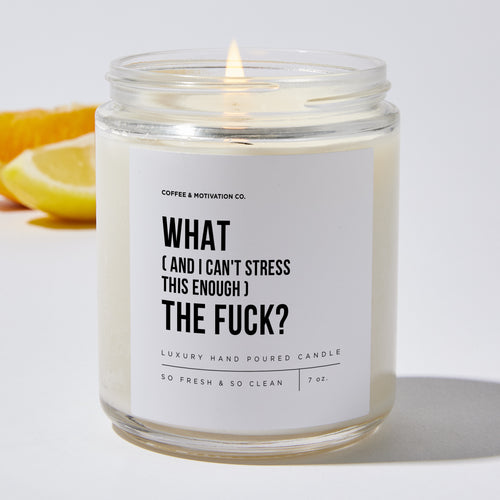 What (And I Can't Stress This Enough) The Fuck? - Luxury Candle Jar 35 Hours